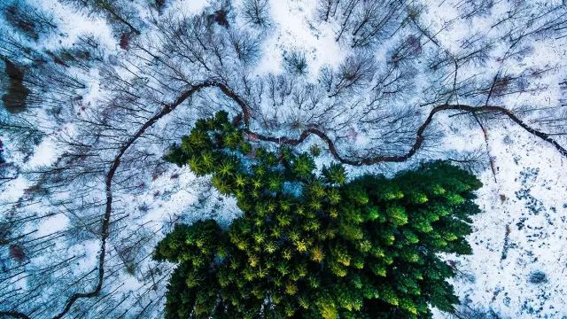 视觉盛泛亚电竞宴！最好照片都在这了20个世界顶级摄影奖金奖作品(图17)