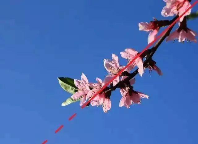 泛亚电竞摄影构图技巧：中老年人学摄影掌握这5种构图方法就够用了(图5)