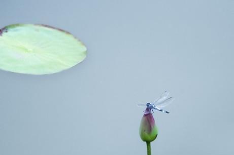 摄影构图方法——不平凡的点构图泛亚电竞(图2)