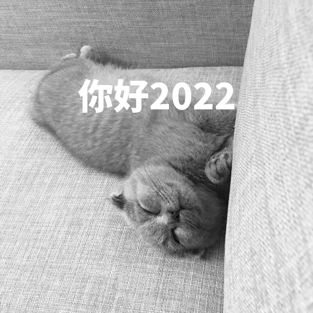 迎接2022年寄语唯泛亚电竞美句子 再见2021你好2走心文案(图1)