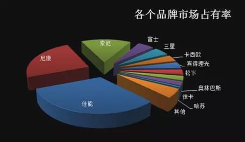 十大数码单反相机品牌排行榜泛亚电竞(图13)