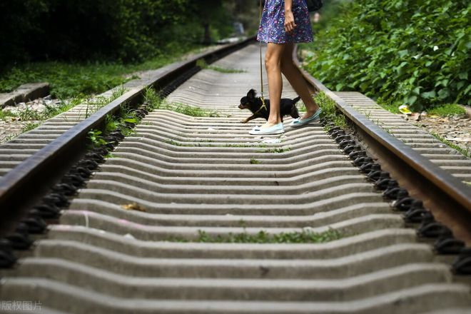 泛亚电竞摄影师挚爱的一种构图形式学会这5个技巧你也能玩转(图3)