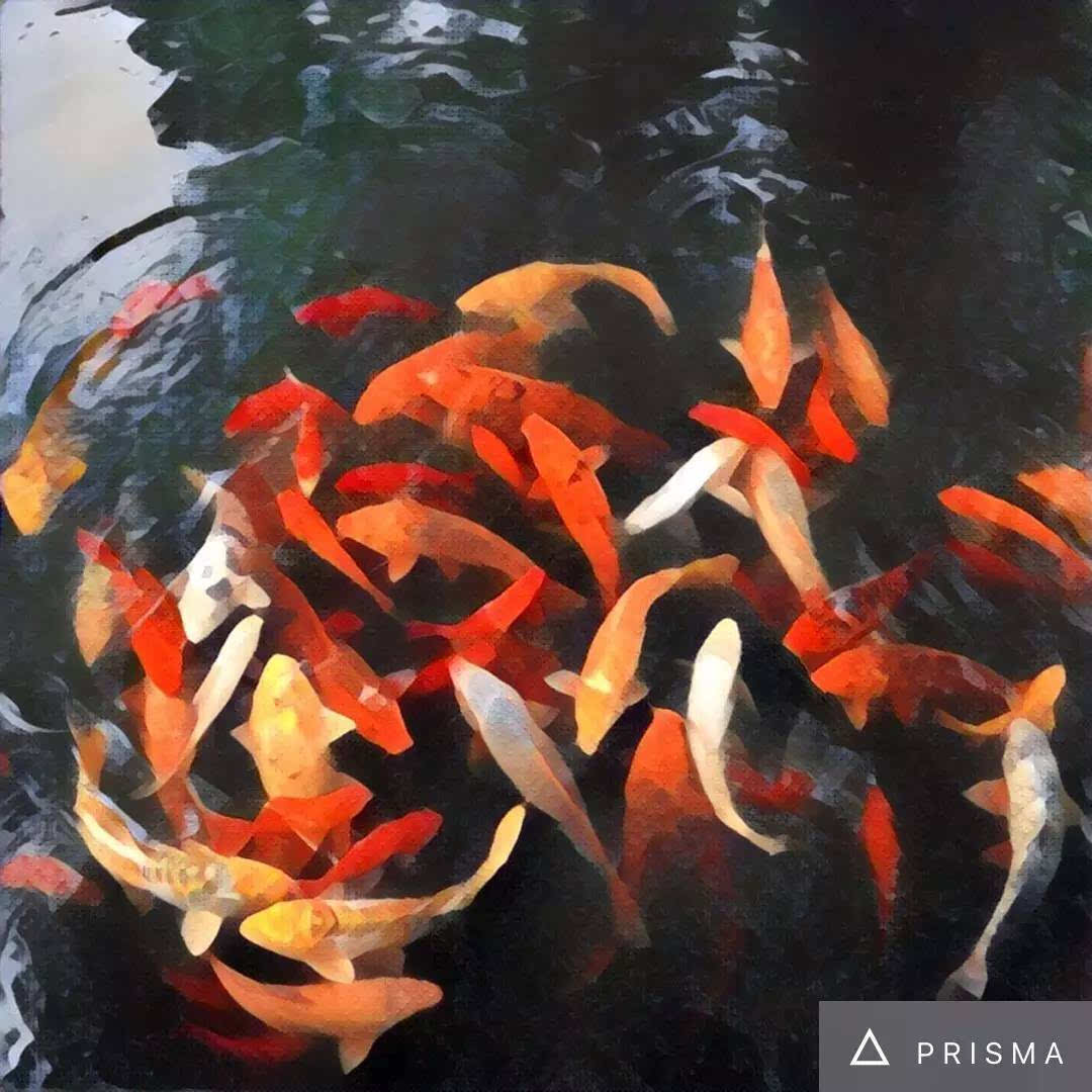 红遍全球的修图 App一键让丑照变艺术品 - Prisma iOS火星电竞app(图8)